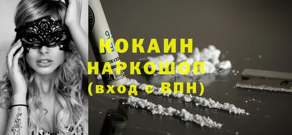 индика Тында