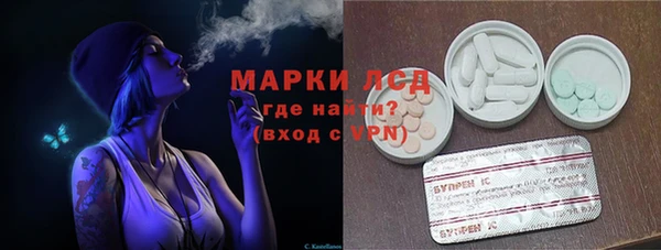 индика Тында