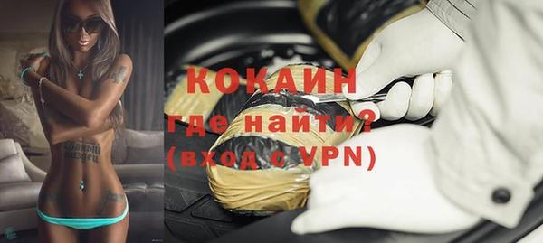 индика Тында