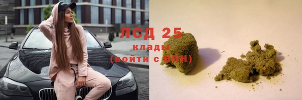 индика Тында