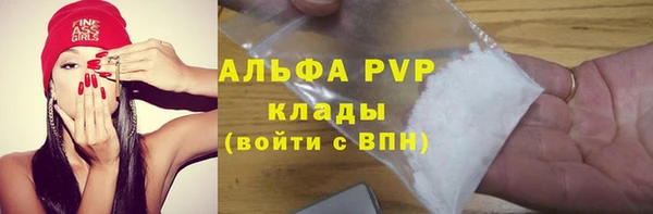 индика Тында