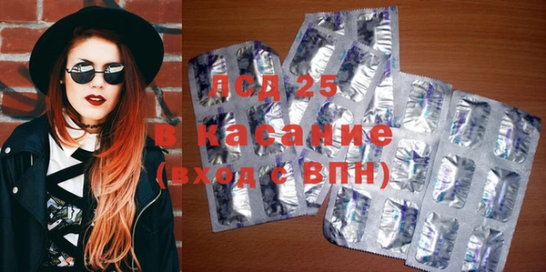 индика Тында