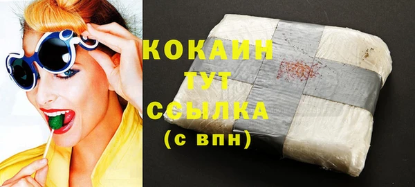 индика Тында