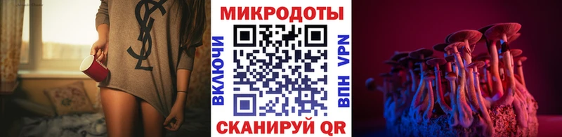 Купить где Качканар Псилоцибиновые грибы мухоморы